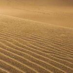 francois-xavier-bellamy