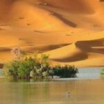 Voici comment construire un mur de l’espoir en Afrique mur-de-lespoir-en-afrique