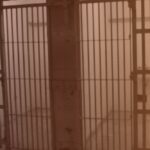 Le G7 et le G20 seraient-ils une bande de malfrats