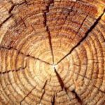 Contre le vieillissement et la fatigue : voici une nouvelle donne