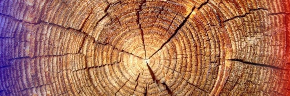 Contre le vieillissement et la fatigue : voici une nouvelle donne