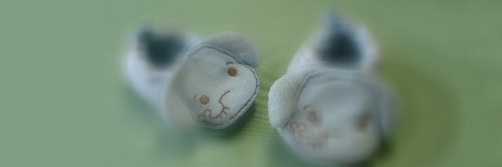 Les émigrés et la natalité en France