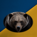 ukraine ours sursse