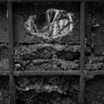 Les Black Blocs, des terroristes ?