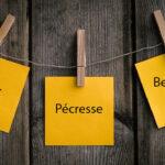 Michel Barnier, Valérie Pécresse, Xavier Bertrand Michel Barnier, Valérie Pécresse, Xavier Bertrand