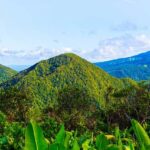 Territoires et départements d’Outremer Territoires et départements d’Outremer