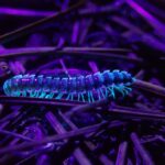 200 millions de tubes et de lampes à ultraviolets