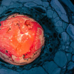 La planète ne se réchauffe pas La planète ne se réchauffe pas