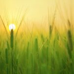 Le soleil est de retour, nous sommes le 1er avril