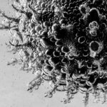 On se satisfait par rapport à qui ?